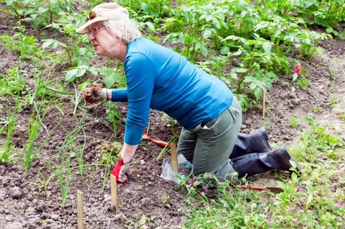    Как правило, после ударного отдыха на грядках сил доползти до шезлонга уже просто не остаётся.