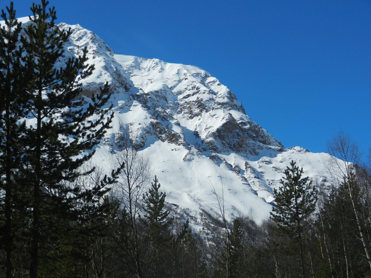 Заснеженный гигант