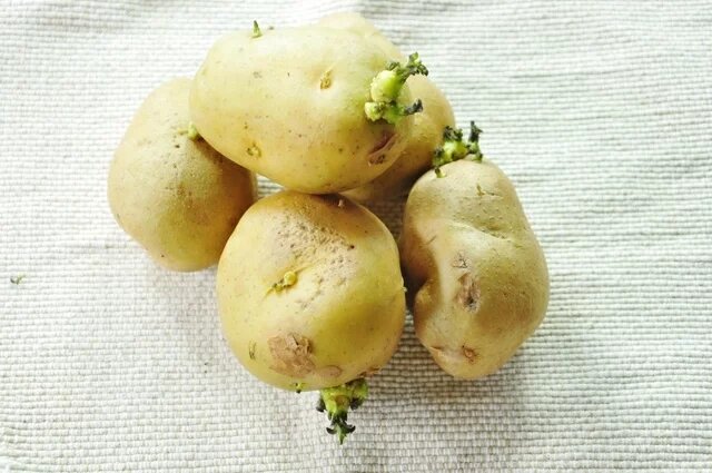    Зачем делать клубень зелёным?