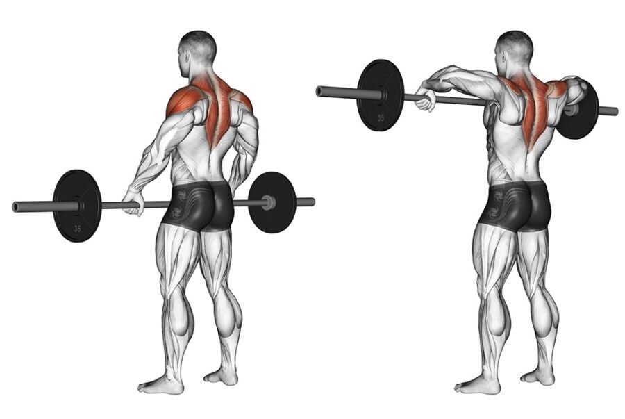 Протяжка отлично прокачивает дельты и создает необходимый объем в плечах