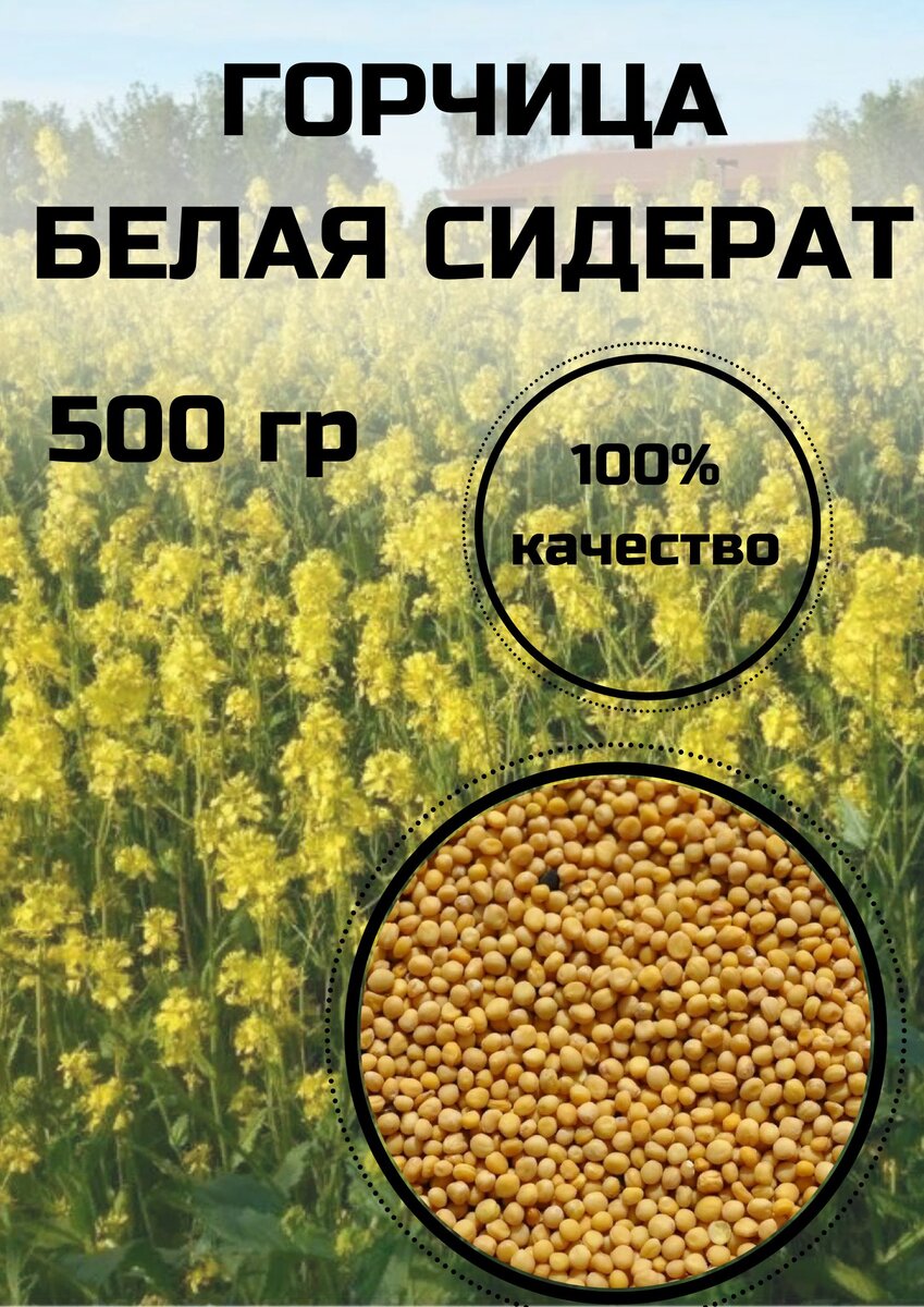 Фото из свободных источников.