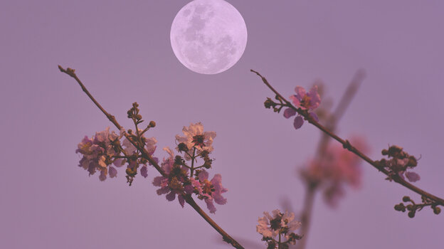    istockphoto.com/Onkamon Buasorn