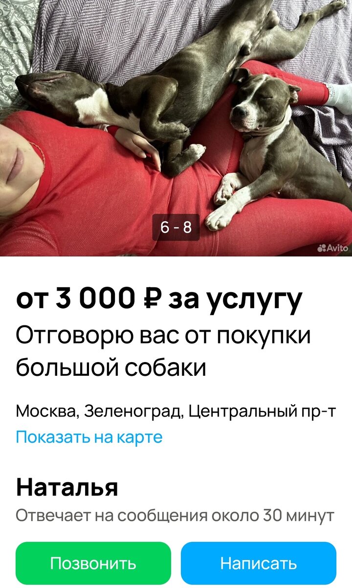 М-м-м... Какие красавчики👍 Ой, там еще и красавица... Сорри, не заметила сразу, думала, это красный диван🙈