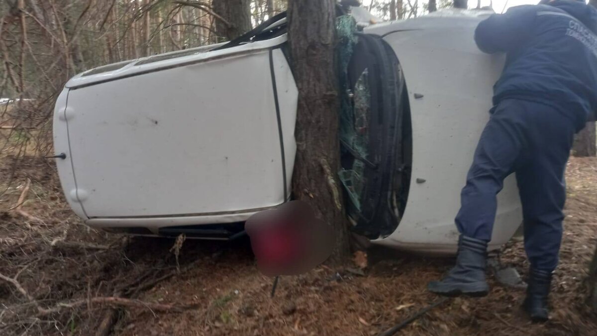 противопожарная служба ТО📷
