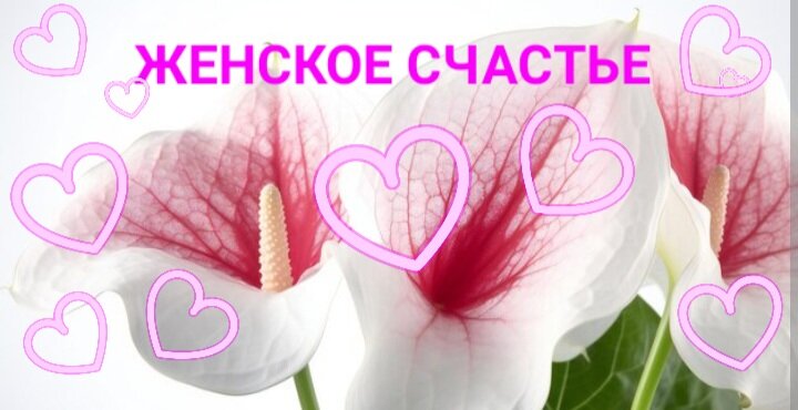 Магия Таро и Трав