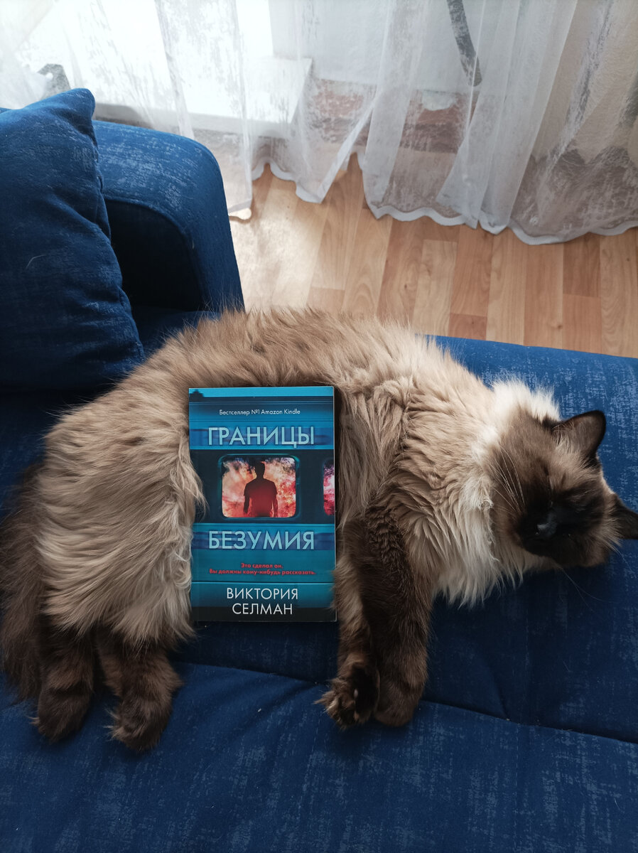 Честь представлять читаемую книгу снова выпала Джессике. 