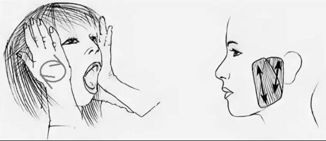 Как расширить челюсть упражнениями. Как расширить челюсть упражнениями. Расслабление жевательных мышц упражнения. Зажим в челюсти от чего. Упражнение для челюсти рта.