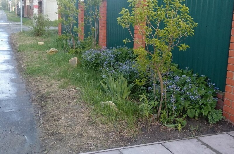 Май 2024. Видно, как у дороги растительности стало меньше