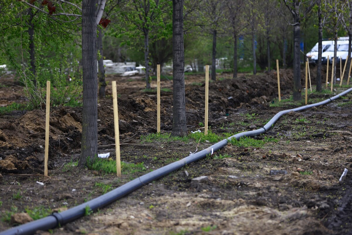 Павел Хацаюк/«Вечерняя Казань»