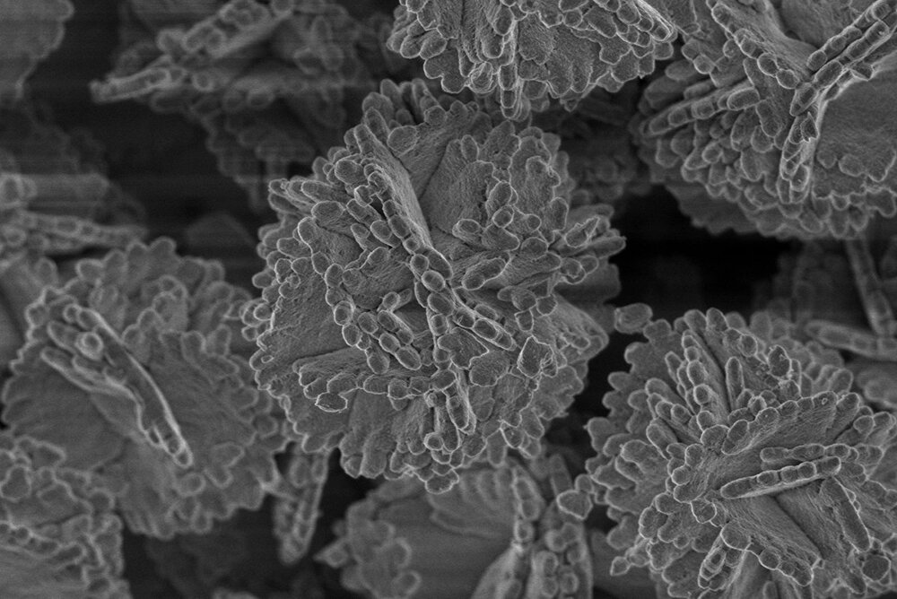    Микрофотография катализатора на основе материала SBA-15 и оксидов циркония и алюминия. Фото: Новикова Светлана