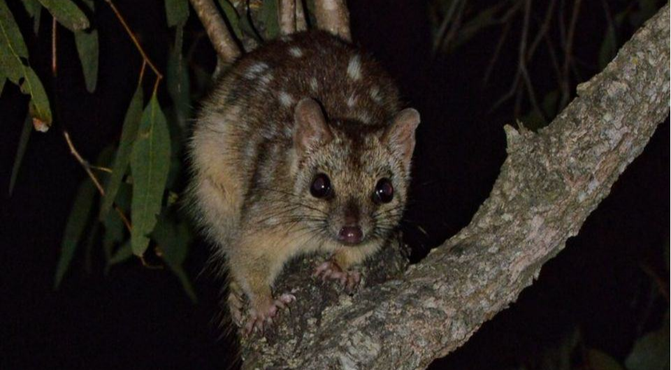   Alexandre Roux / Flickr / CC BY-NC-SA 2.0 DEED