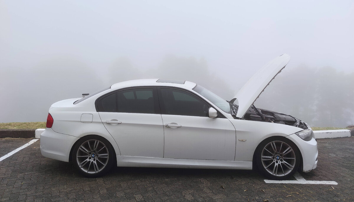 Ёжик в тумане... ЮАР, 2024.