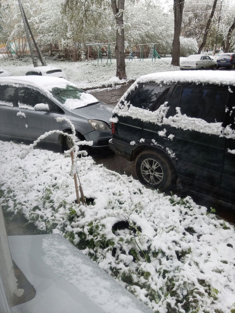 Фото автора