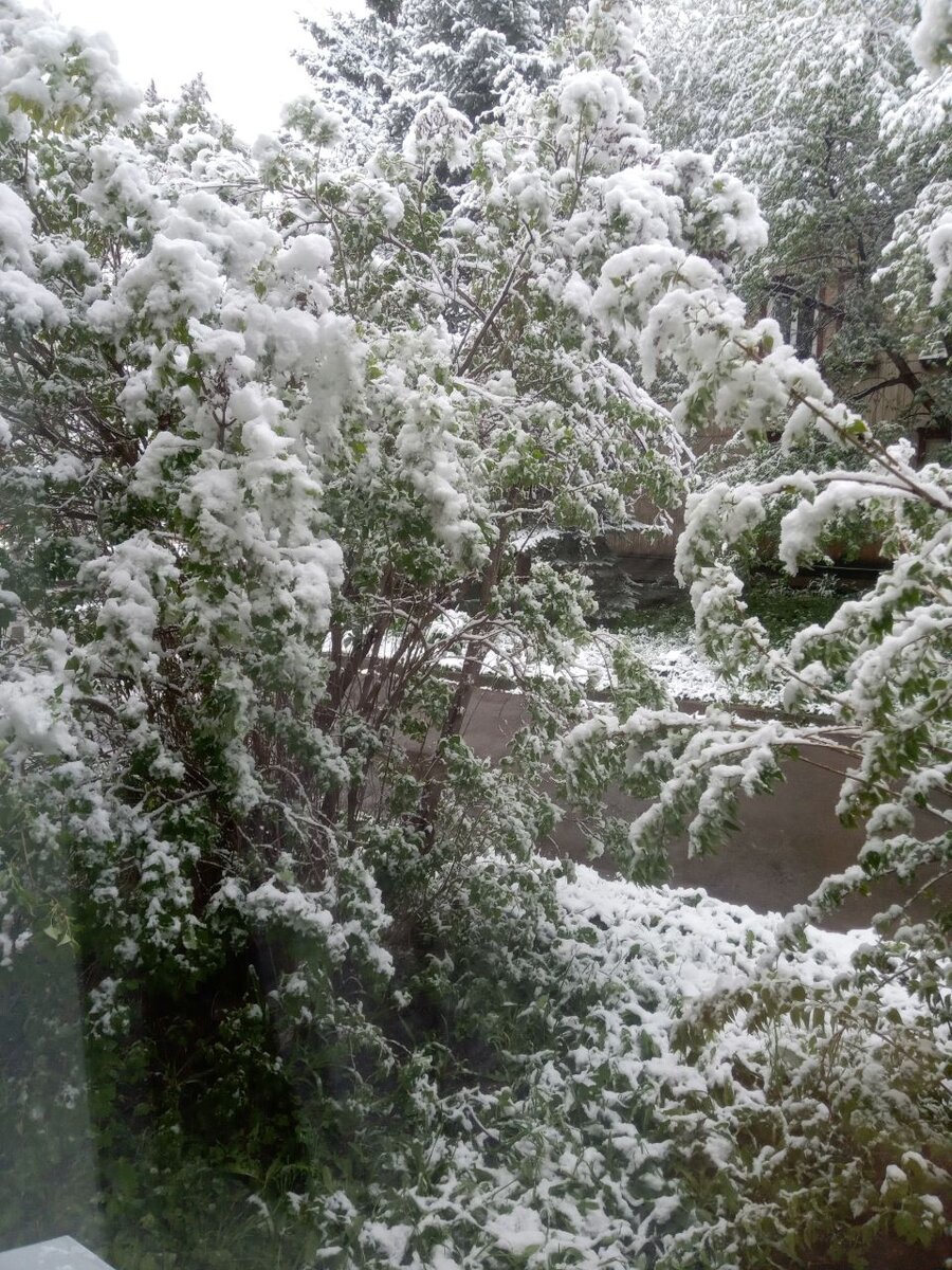 Красиво, конечно