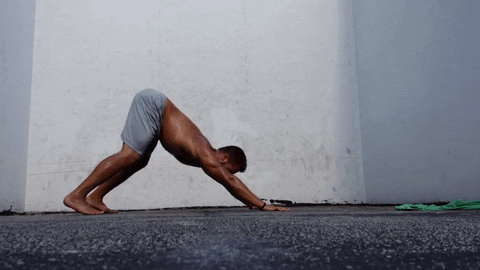 Источник "Яндекс.Картинки"