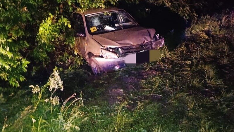      Фото: Госавтоинспекция Ставрополья