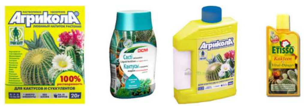 Удобрение для замиокулькаса для быстрого роста. Удобрение для замиокулькаса для быстрого роста. Удобрения для замиокулькаса для роста. Удобрение для замиокулькаса. Ускоритель роста для замиокулькаса.