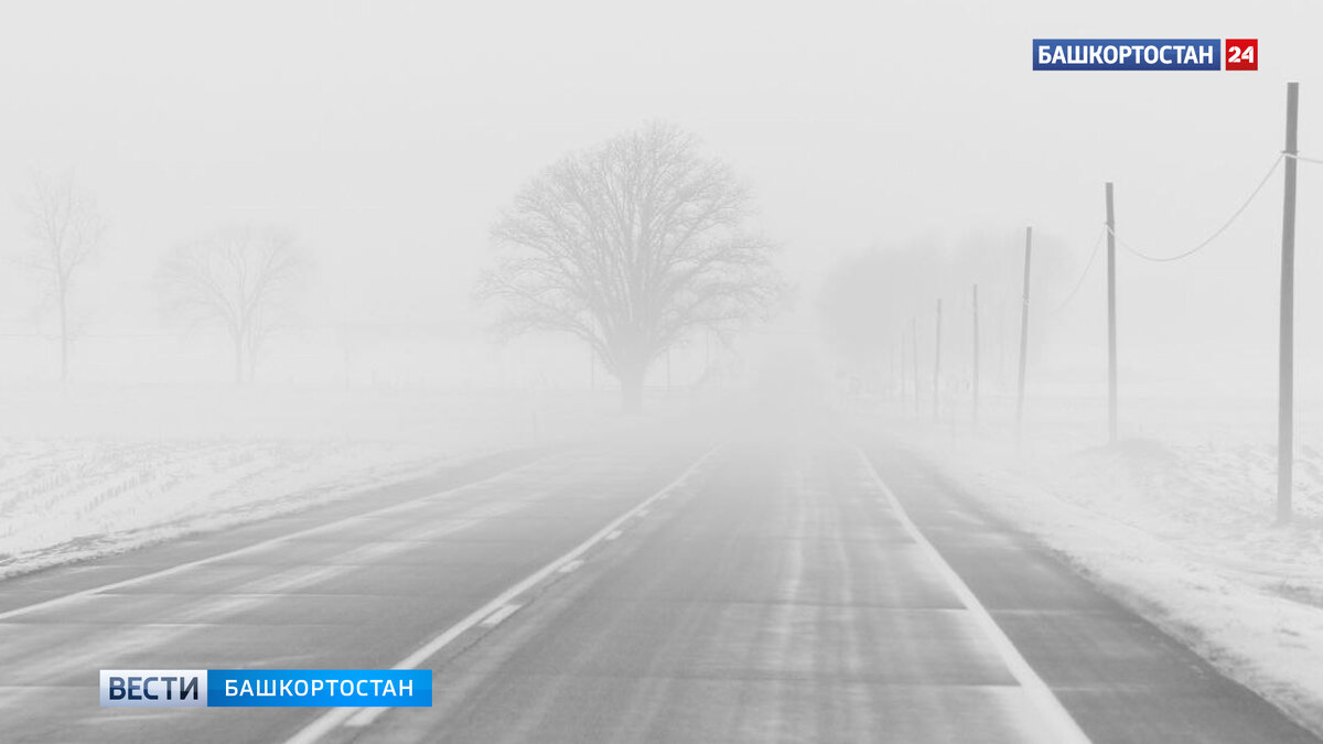    Снег, заморозки, ветер до 20 метров в секунду: жителей Башкирии предупредили о непогоде