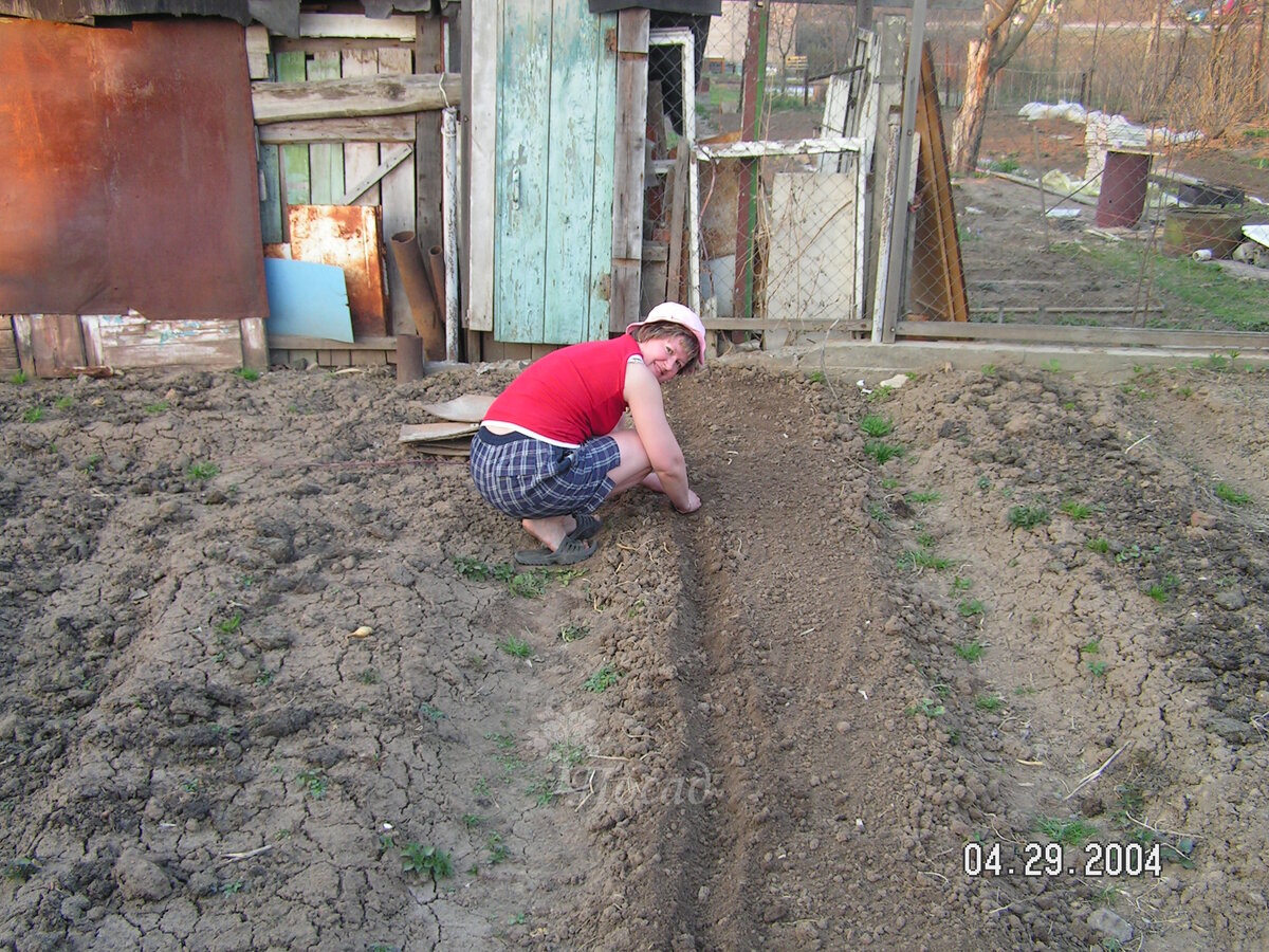 Такая земля у нас была на первой нашей даче. Заборные прелести - соседские )))