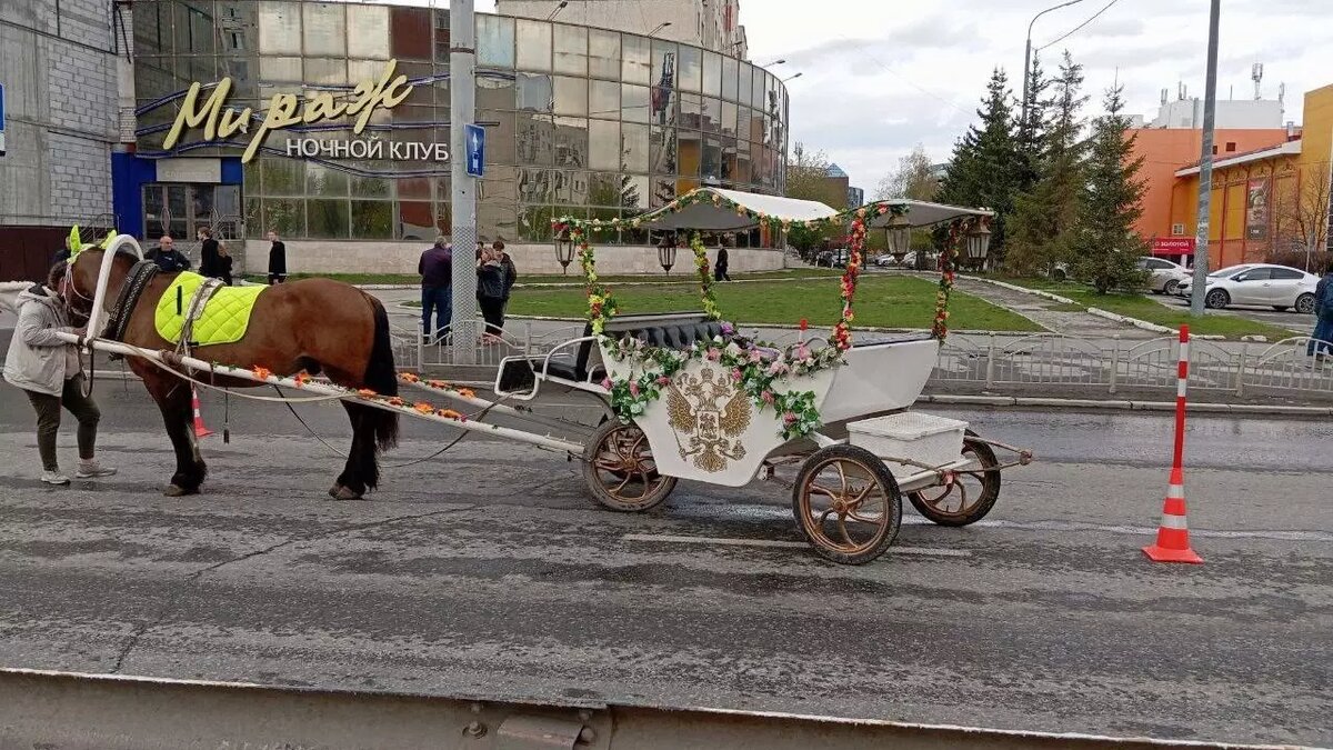     Источник: ГИБДД