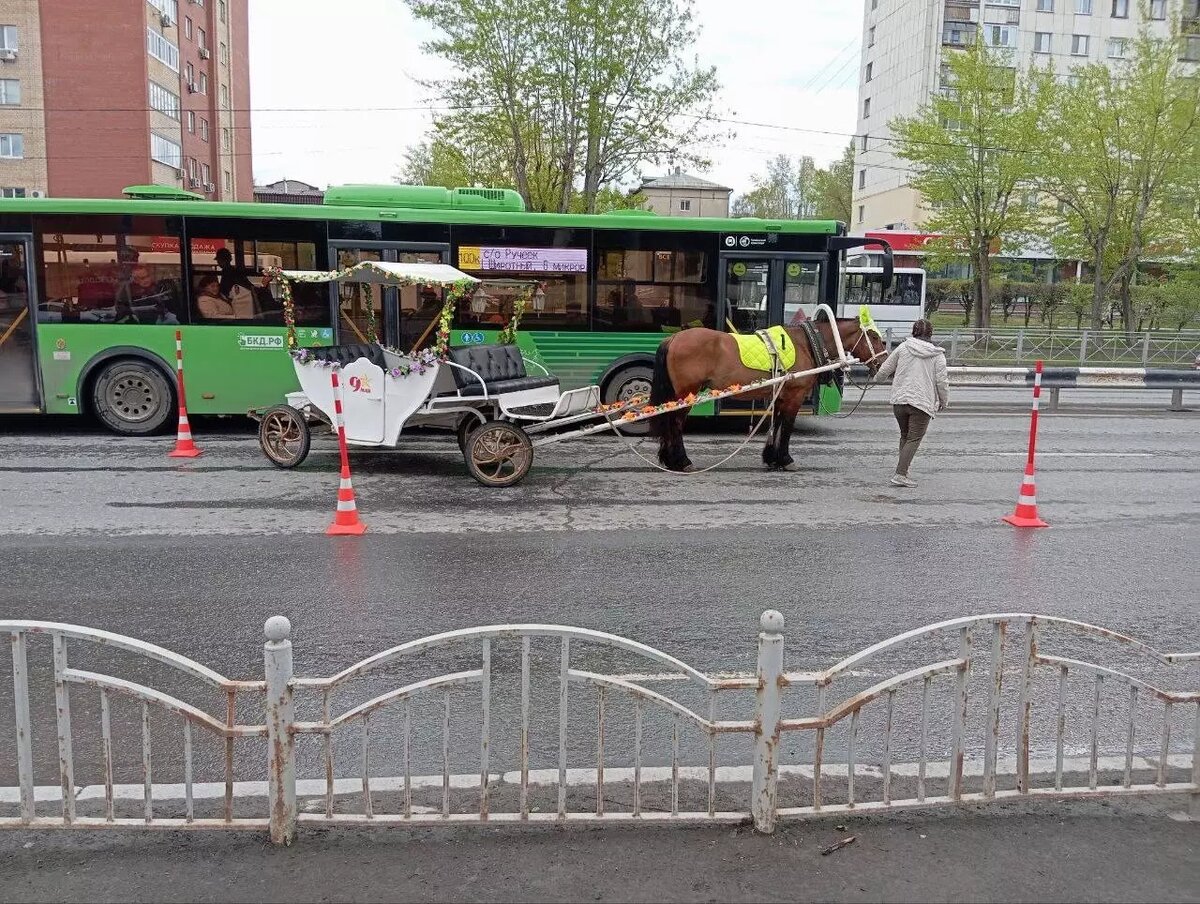     Источник: ГИБДД