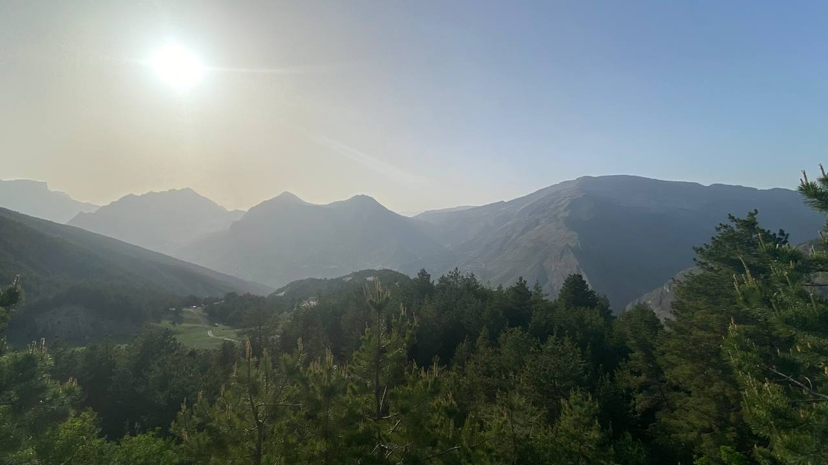 Фото из архива Фиолетового сна