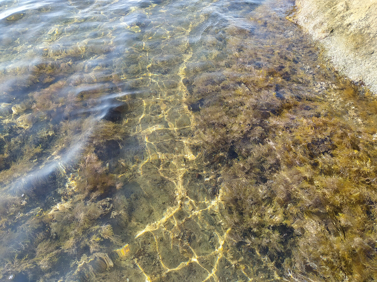 тропинка в прозрачной морской воде 