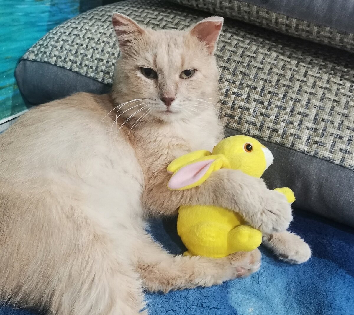 Сейчас Фёдор вполне счастлив, а полгода назад он был бездомным странником