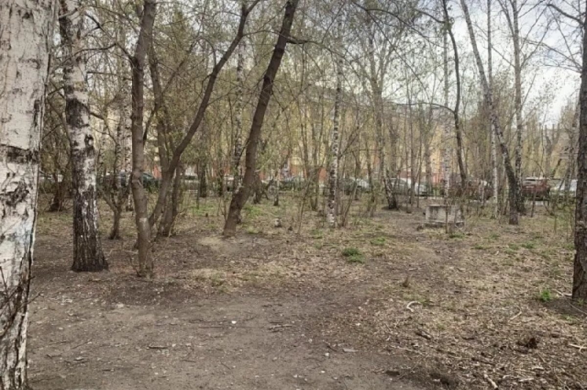    Ветеран труда попросила мэра Красноярска восстановить сквер на улице Юности