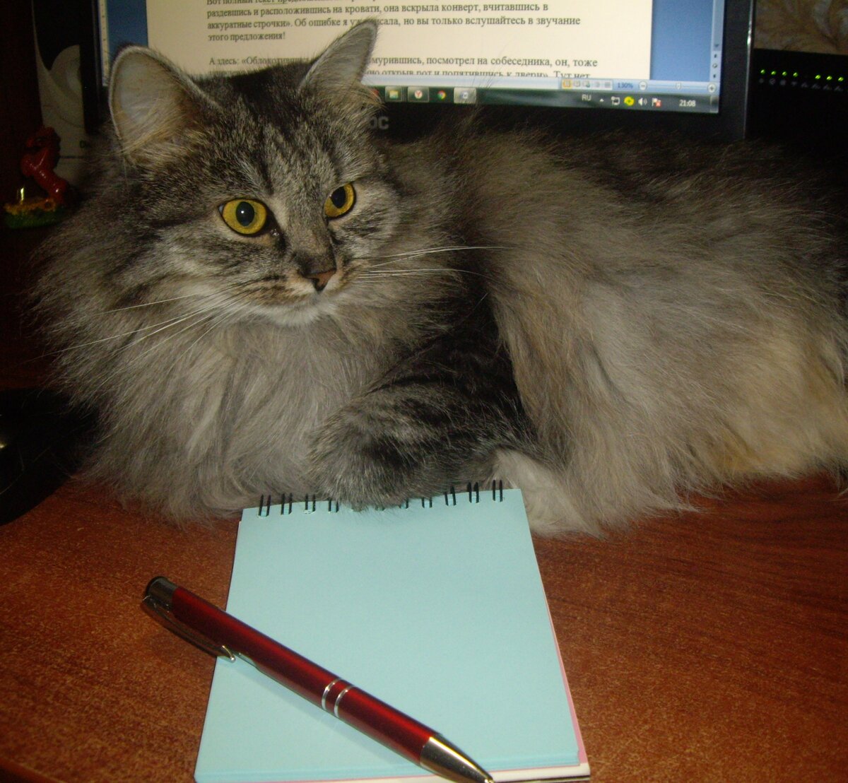 Киска Ириска приветствует вас.