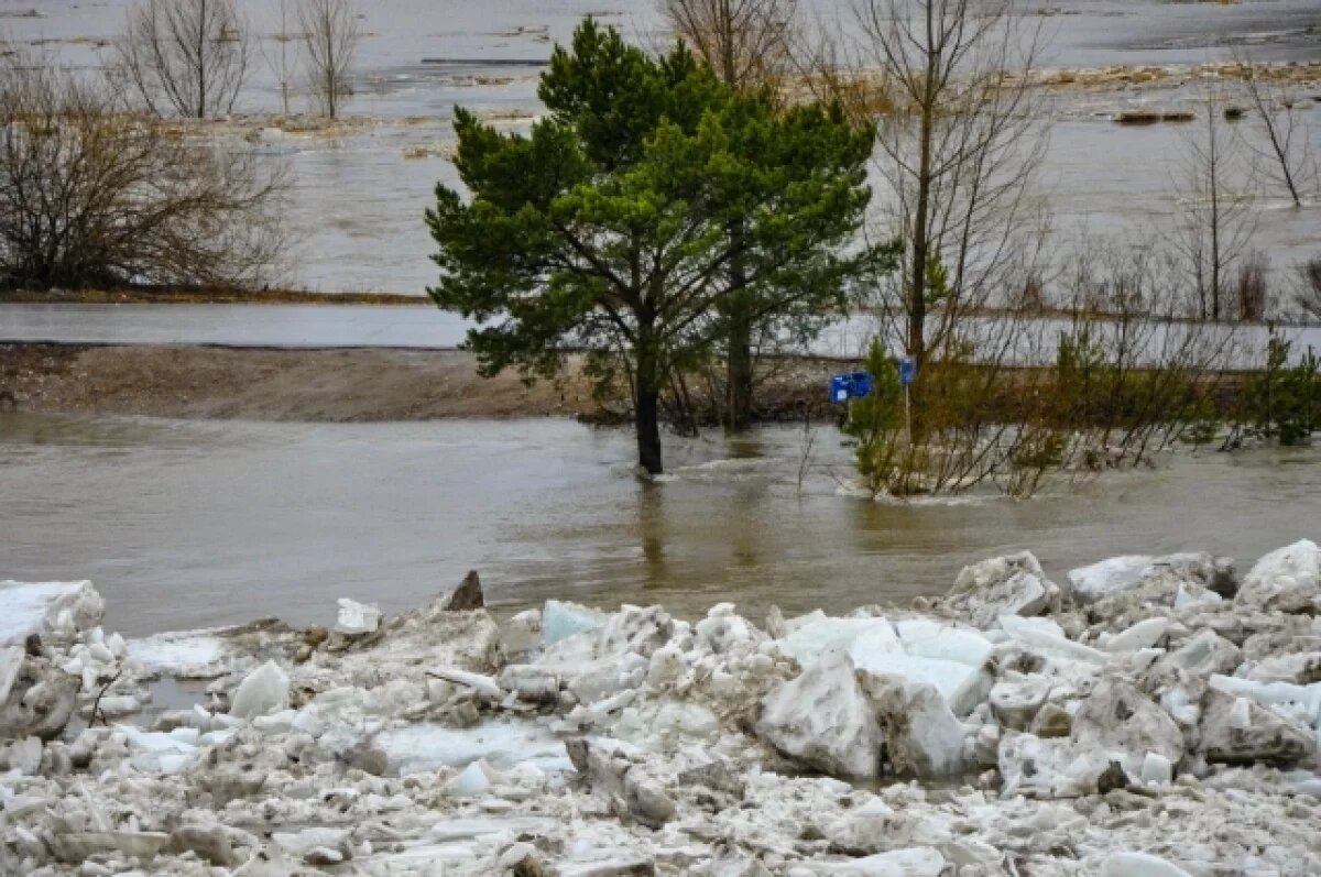    Река Обь в районе села Александровское в Томской области поднялась на 25 см