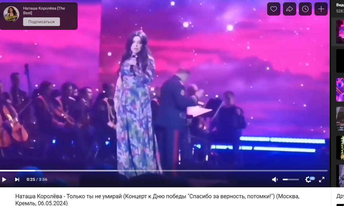 По сети гуляет любительская запись концерта. Фото: vk.com 