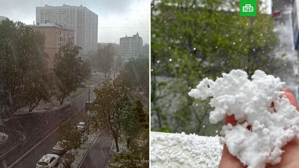    Москву накрыл второй майский снегопад