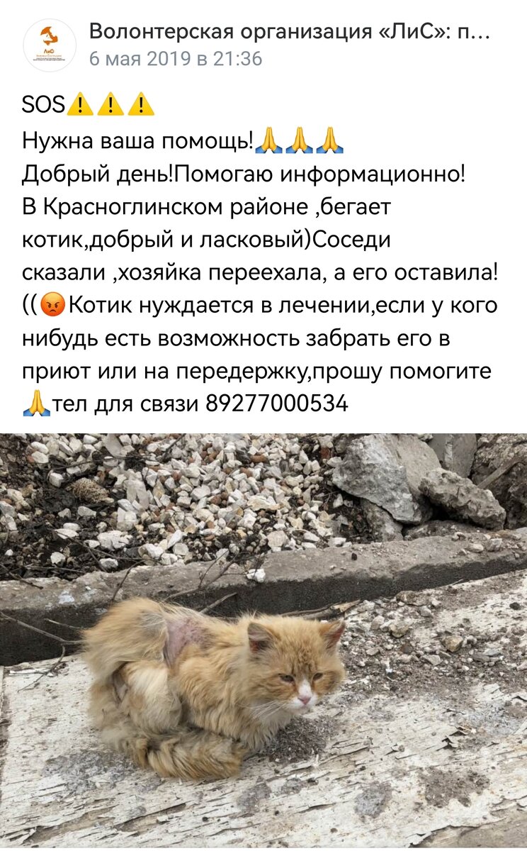 Пост о Патрике, из котором я о нём узнала