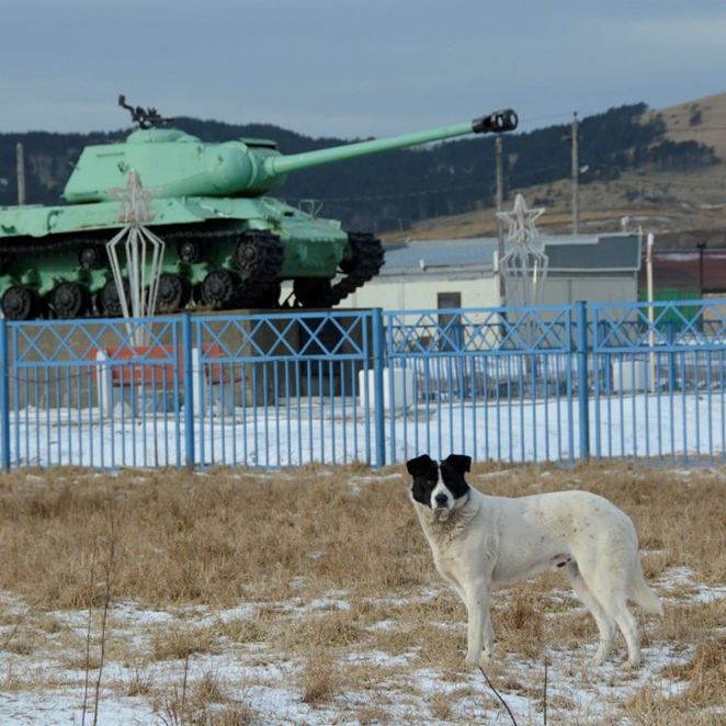 Советский танк ИС-2, памятник Второй мировой войны, в поселке Малокурильское на острове Шикотан, Южные Курилы, Россия. Россия строит базы слежения на Курилах. Фото: Рейтер 
