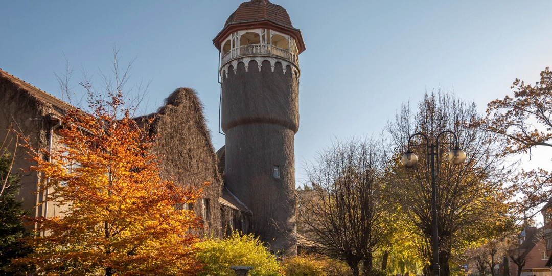 Отдых в Светлогорске: чем славится город среди лесов и что здесь посмотреть?