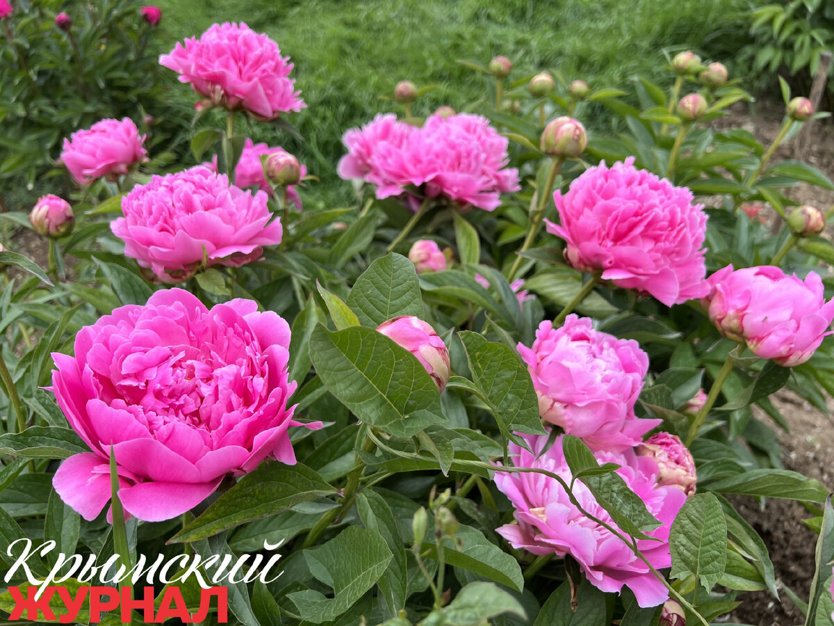 Фото: Полина Самойленко