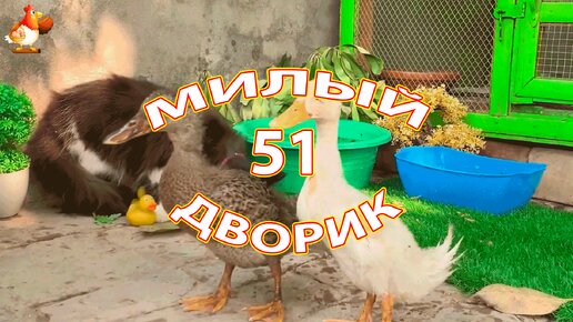 Милый дворик часть 51