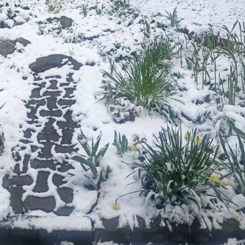 Вот как-то так. Фото из группы VK. 