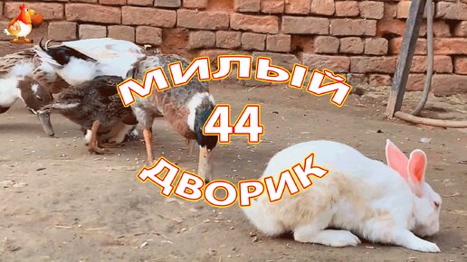 Милый дворик часть 44