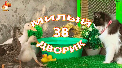 Милый дворик часть 38