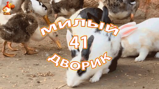 Милый дворик часть 41