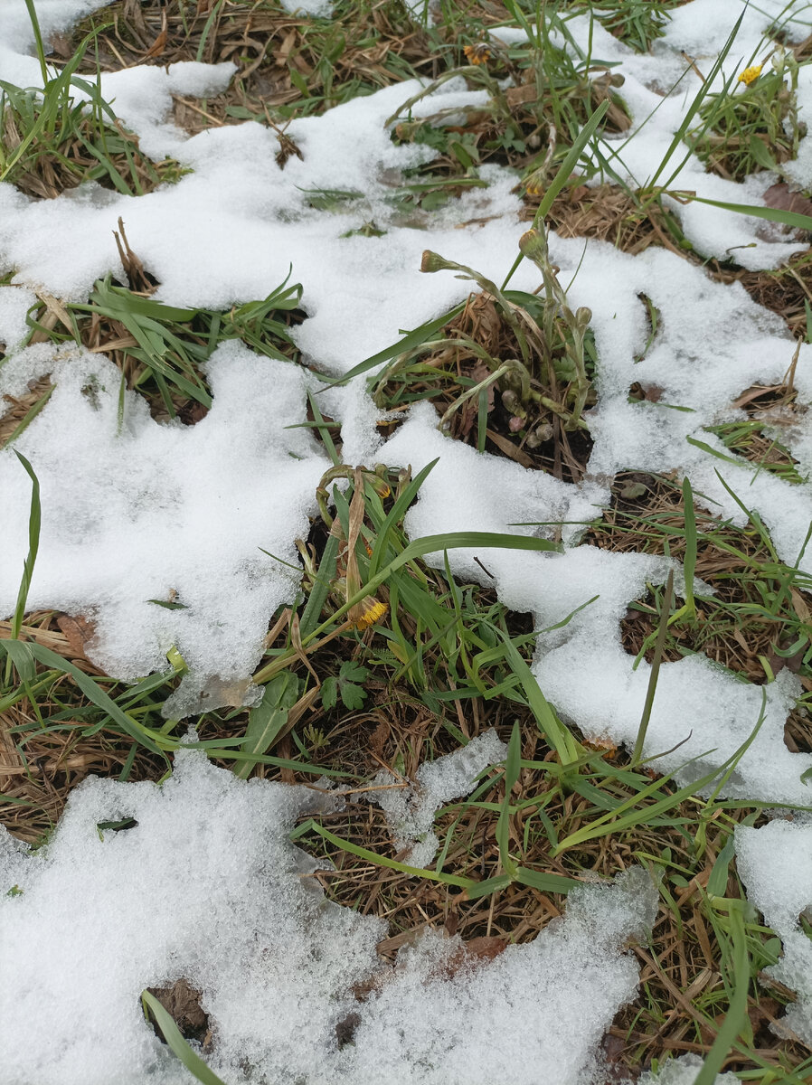 Снег, выпавший в пятницу, всё лежит
