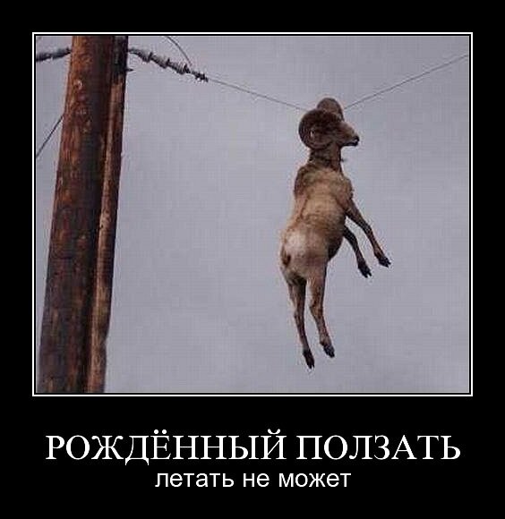 ...забыв об этом...