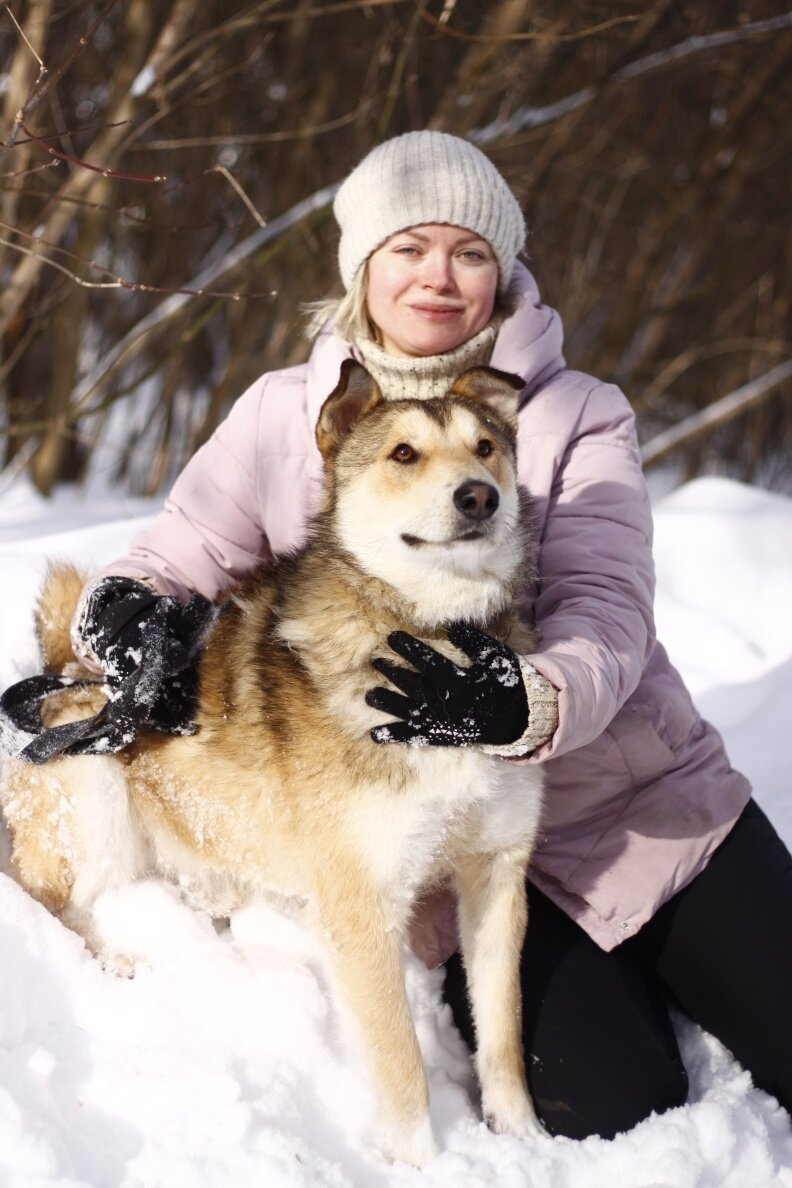 Север/Выставка 