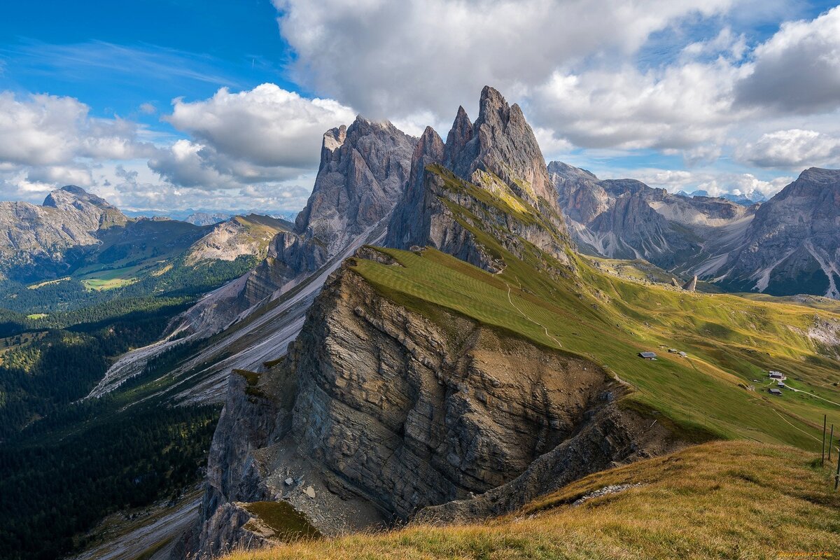 Яндекс картинки