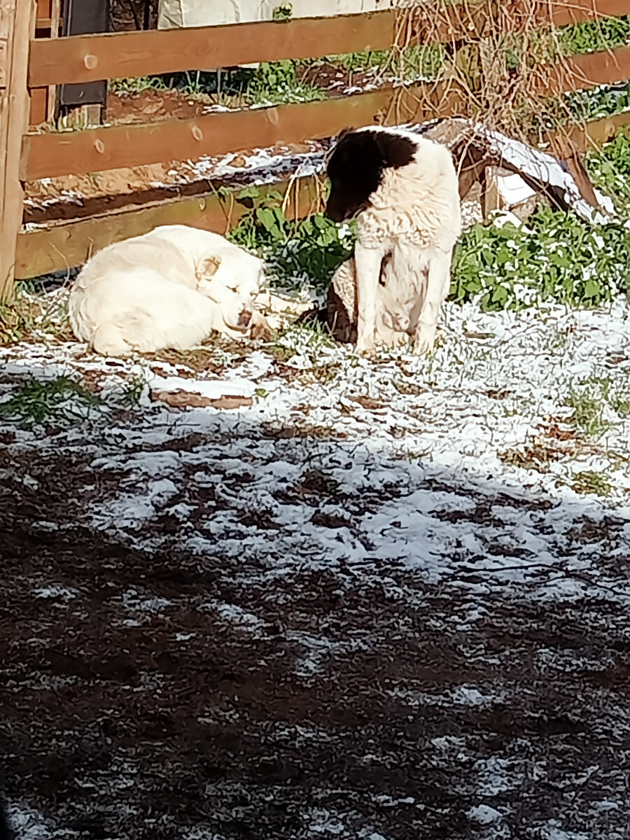 9 мая, греемся на майском снегу