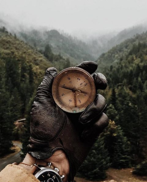 фото из интернета