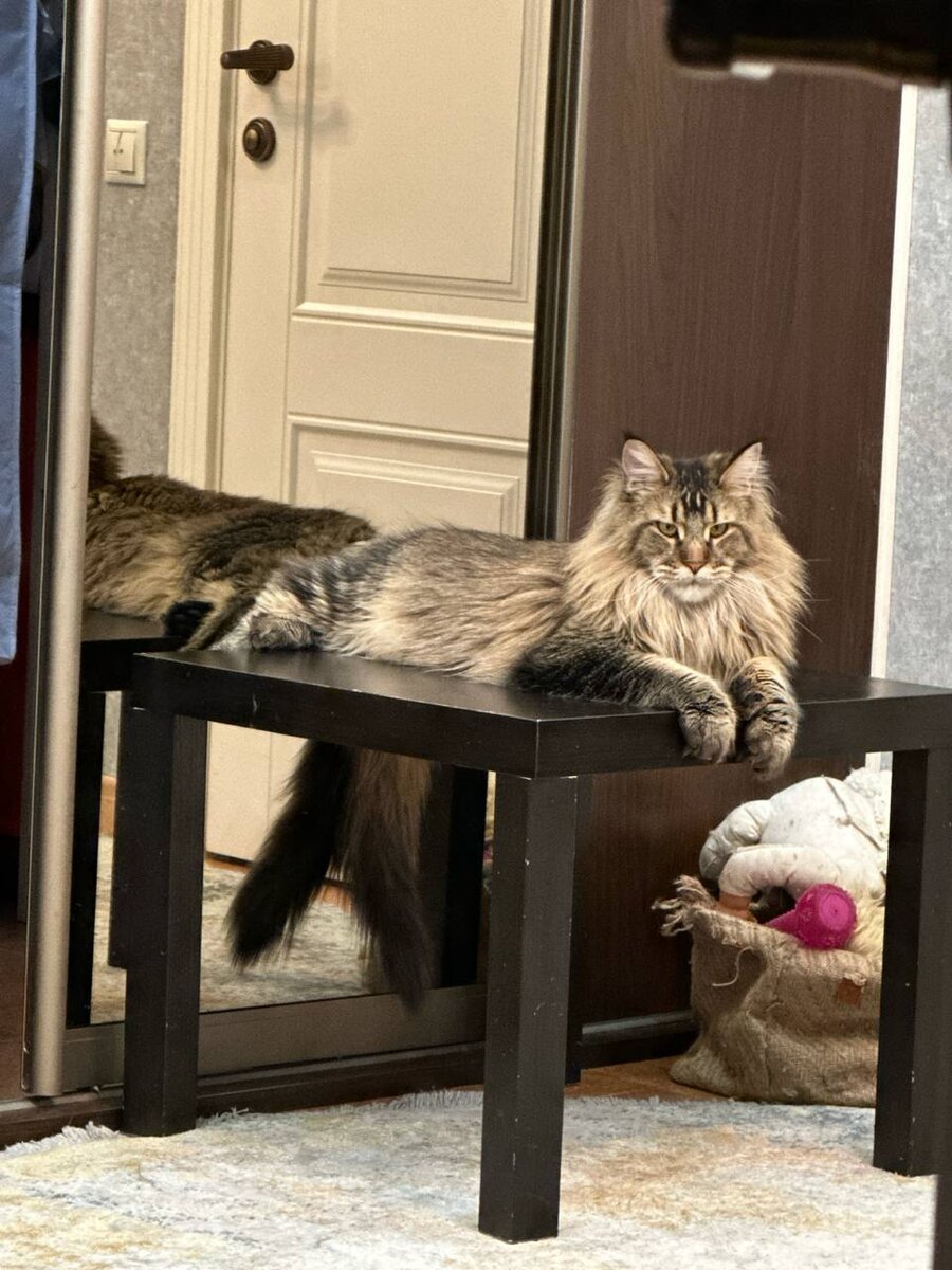 Фото из личного архива.