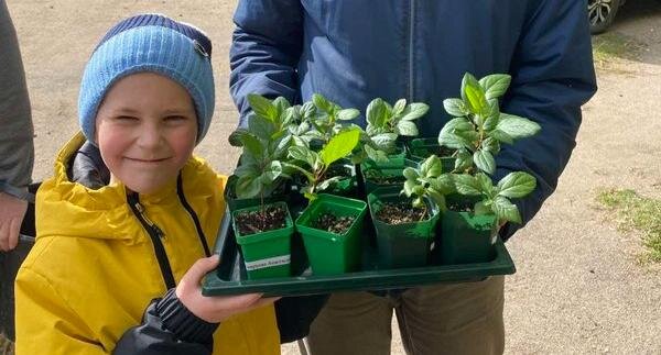    Воспитанники Интердома вырастили из семян саженцы для «Сада памяти»